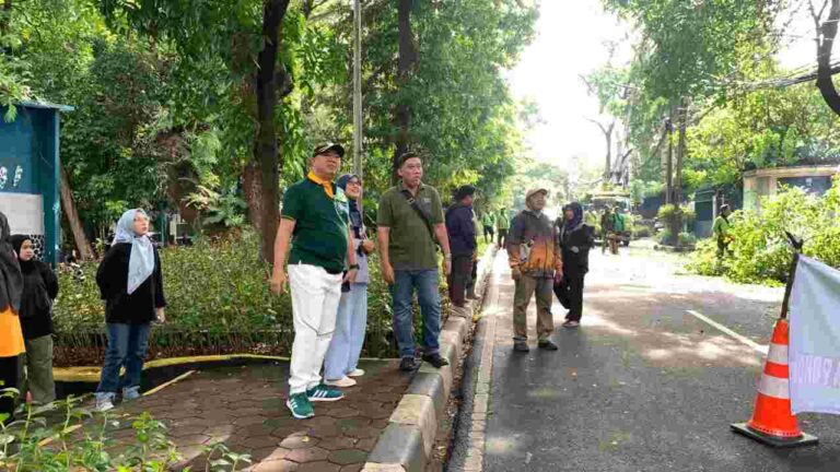 Antisipasi Cuaca Ekstrem, Distamhut Lakukan Penopingan Pohon Serentak di Seluruh Jakarta